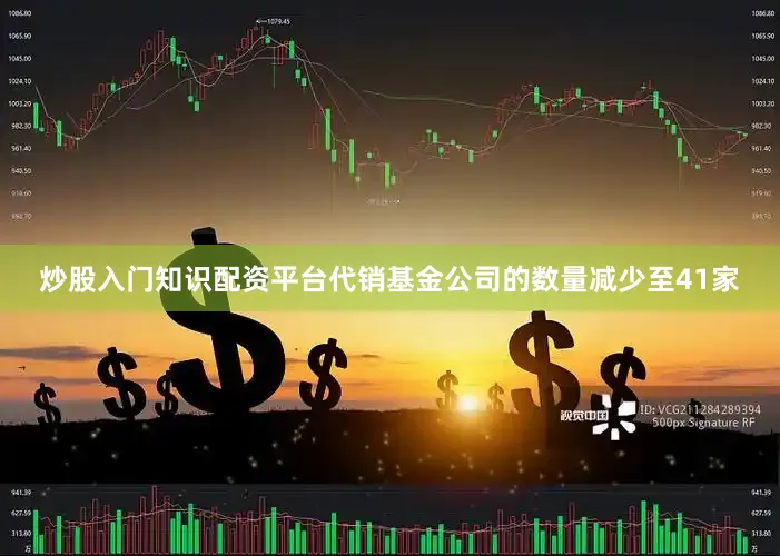 炒股入门知识配资平台代销基金公司的数量减少至41家