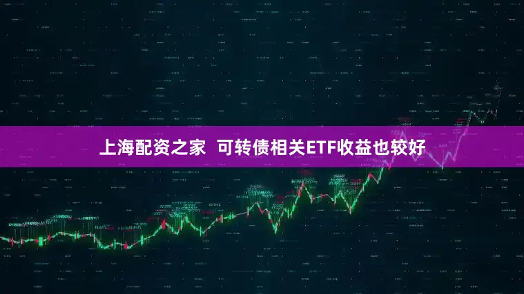 上海配资之家  可转债相关ETF收益也较好